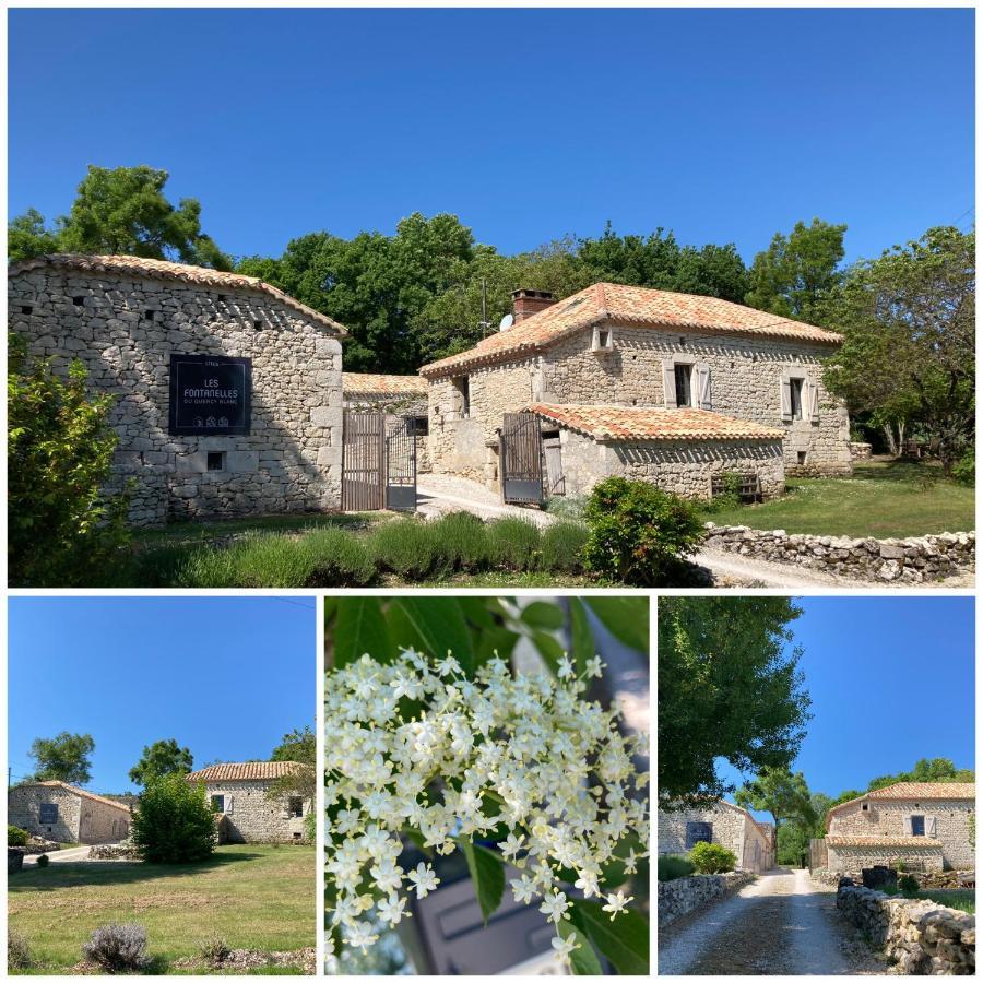 MontcuqLes Fontanelles Du Quercy Blanc别墅 外观 照片