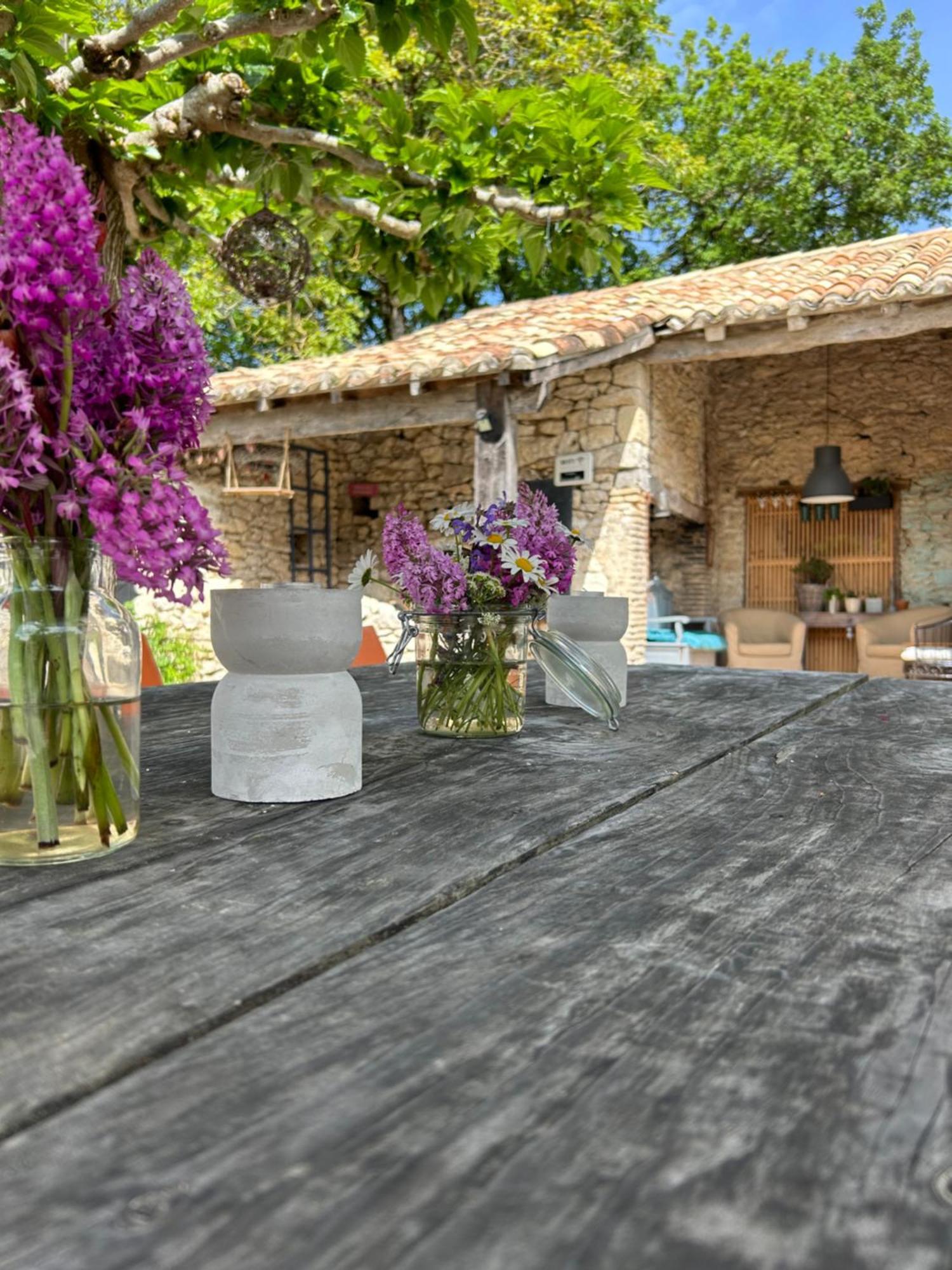 MontcuqLes Fontanelles Du Quercy Blanc别墅 外观 照片