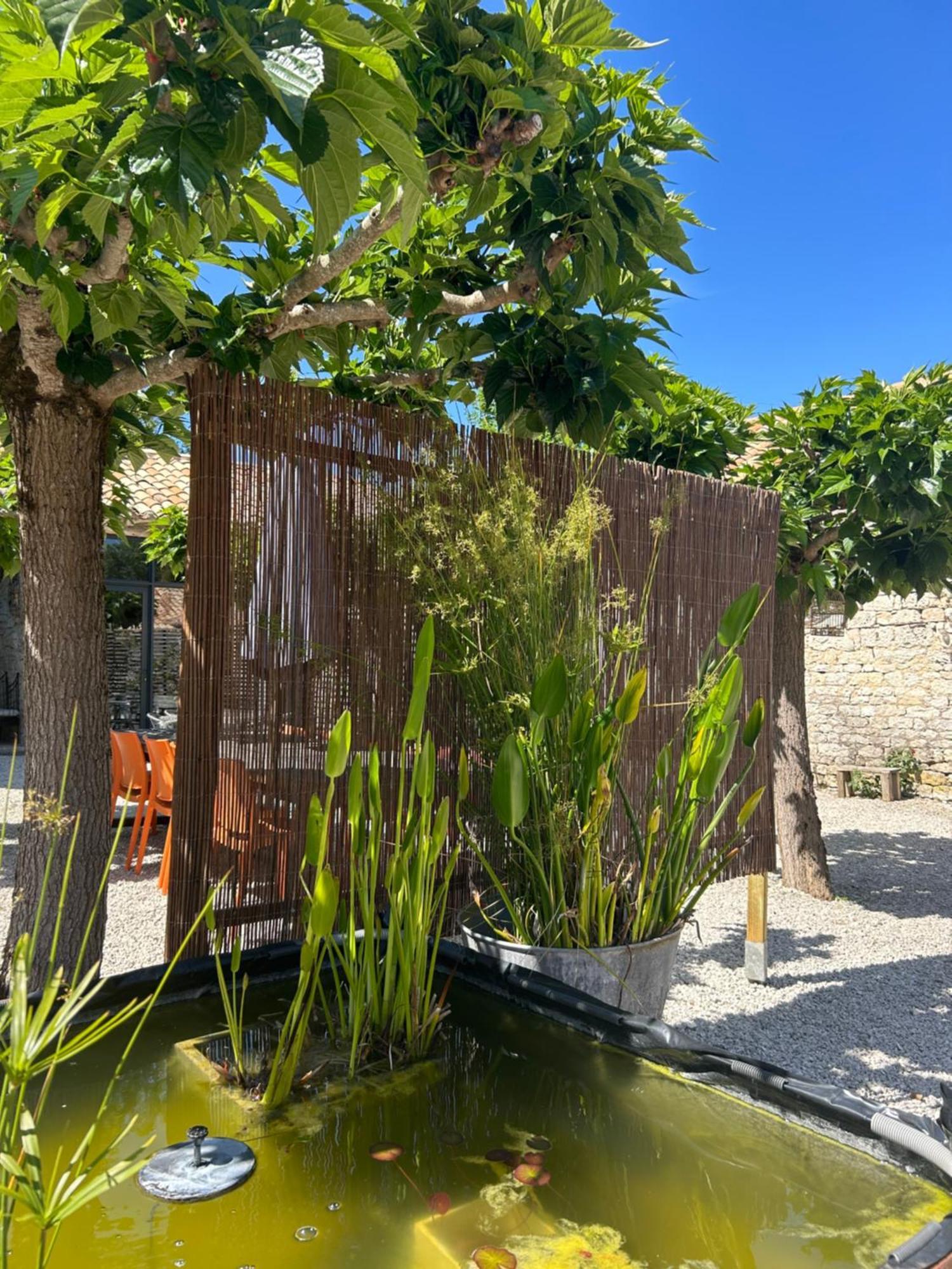 MontcuqLes Fontanelles Du Quercy Blanc别墅 外观 照片